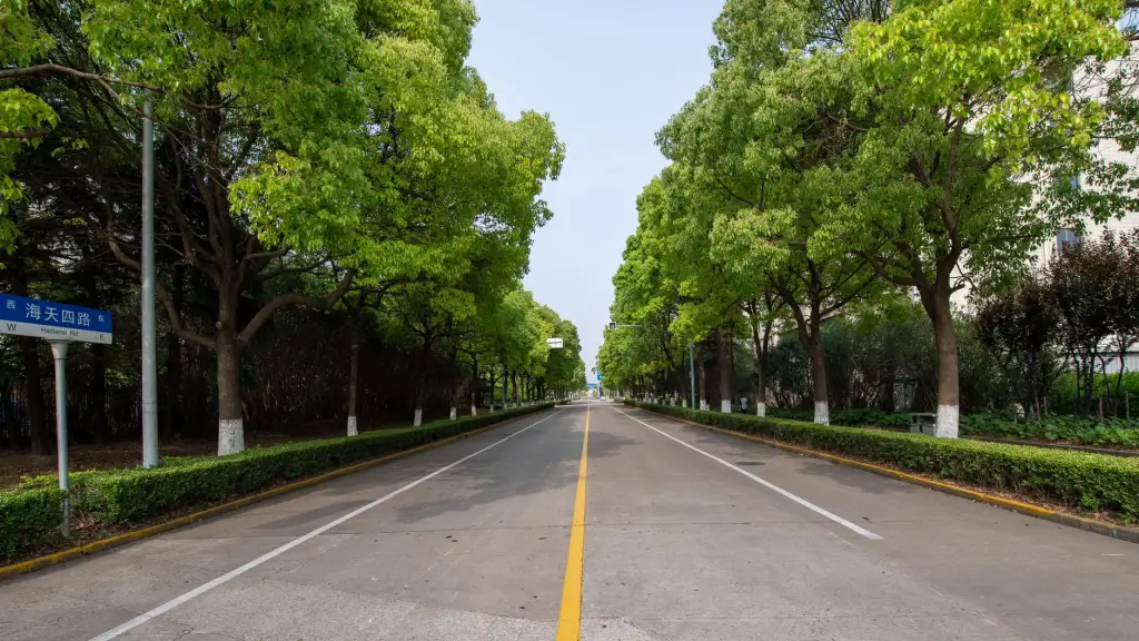 雄激素性脱发多学科联合诊疗方案的设计与临床应用