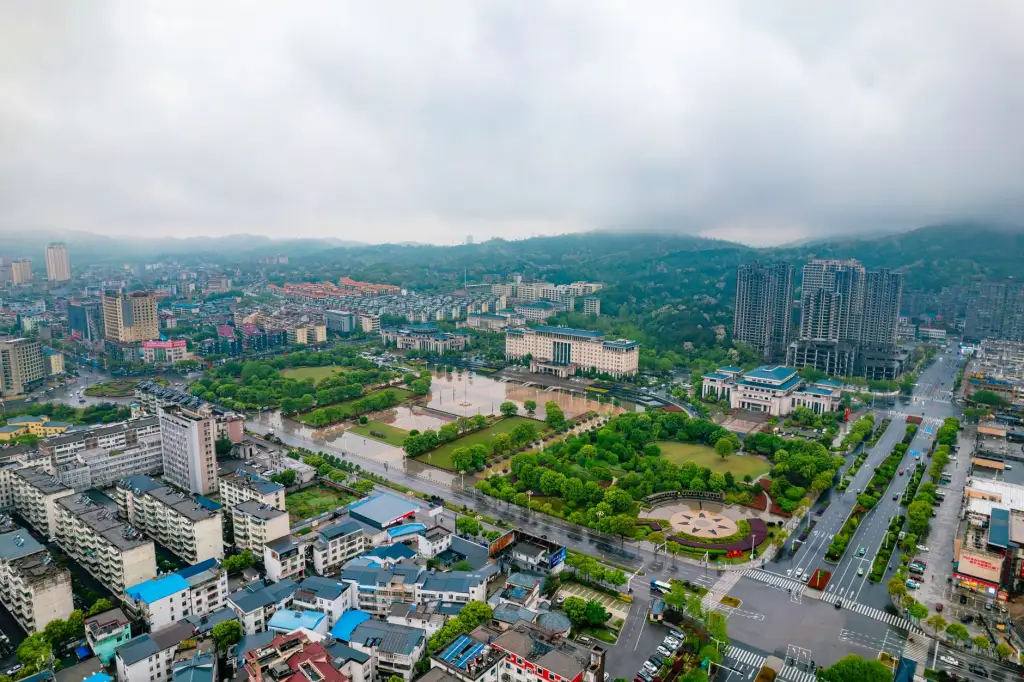 植发医师技能培训标准化流程在科发源临床带教中的应用